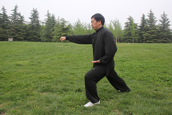 拳照