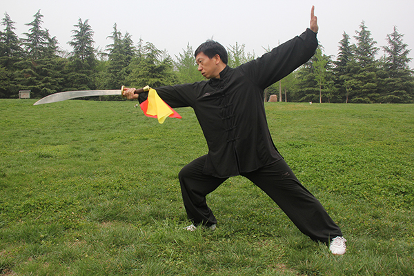 拳照