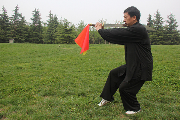拳照