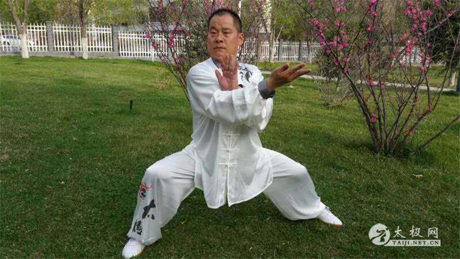 拳照
