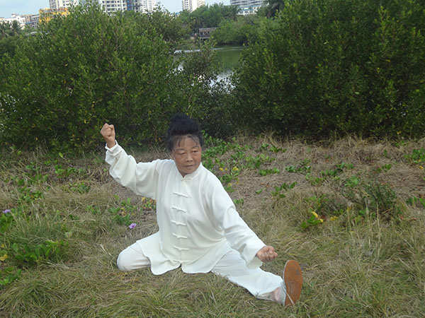 拳照