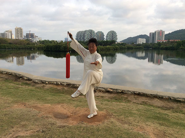 拳照