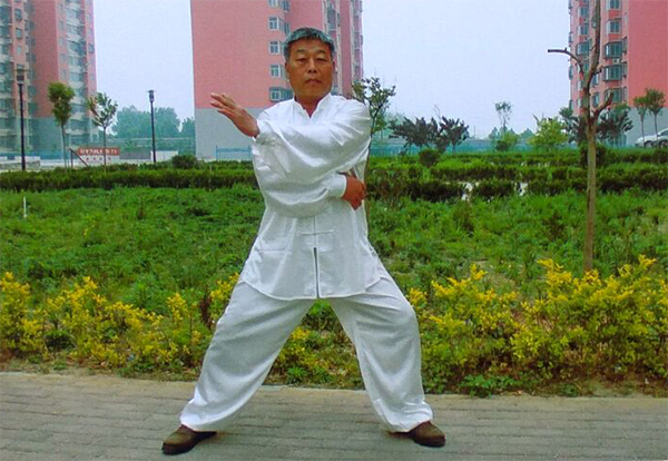 拳照