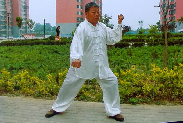拳照