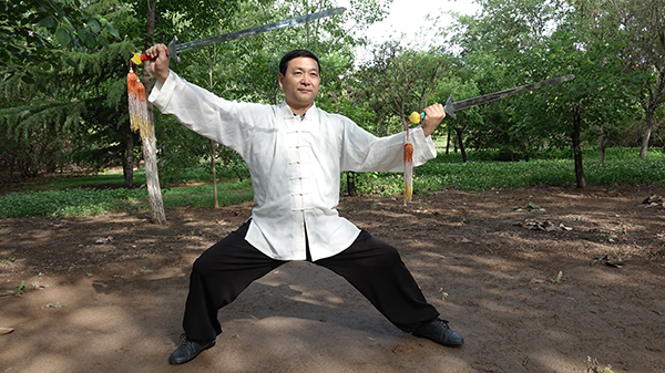 拳照