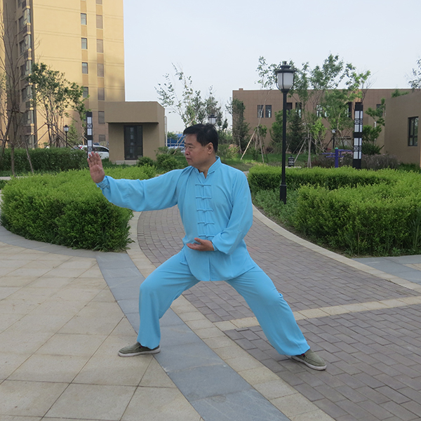 拳照