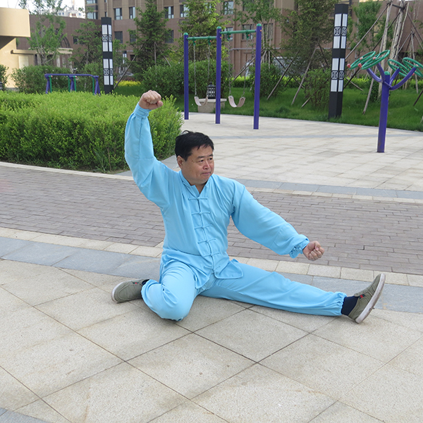 拳照