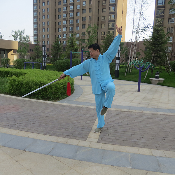 拳照