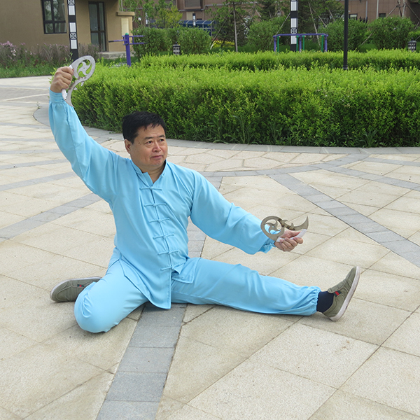 拳照