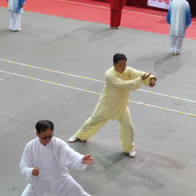 拳照