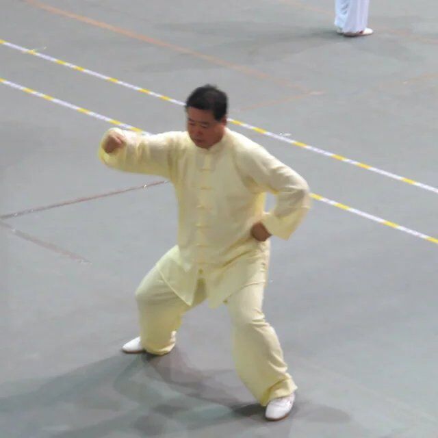 拳照