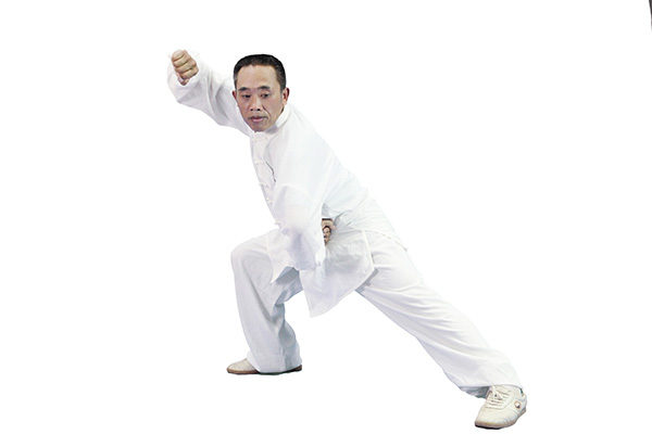 拳照