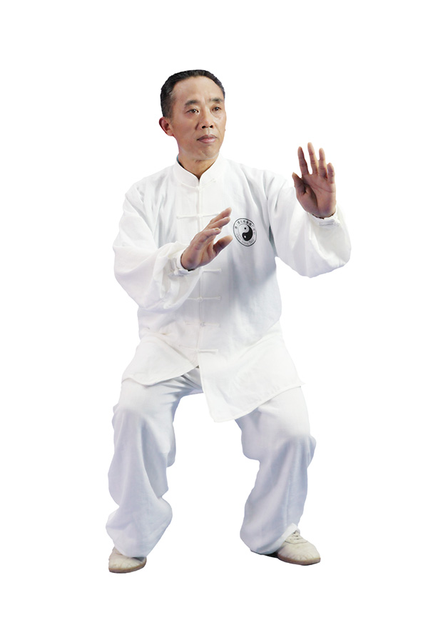 拳照