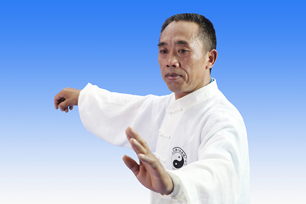 拳照