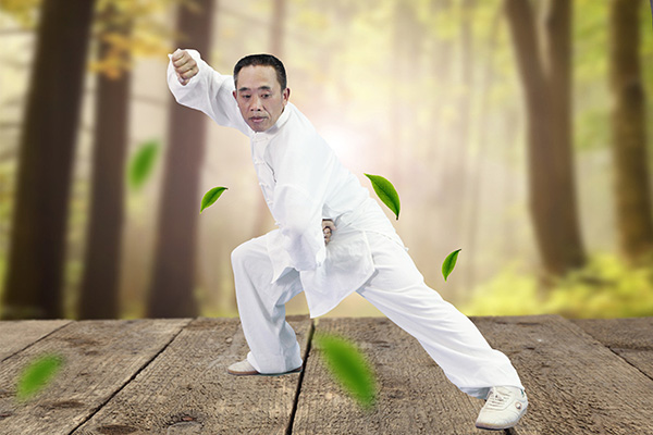 拳照