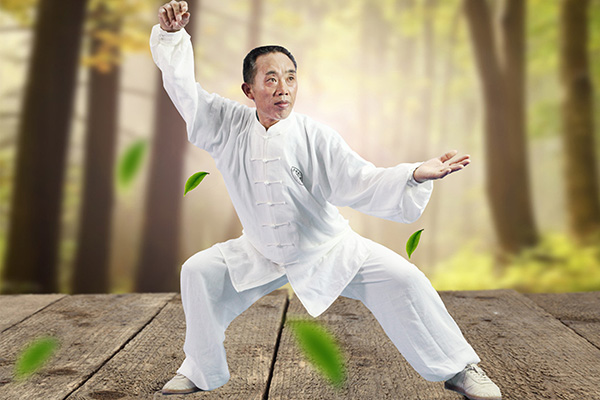 拳照