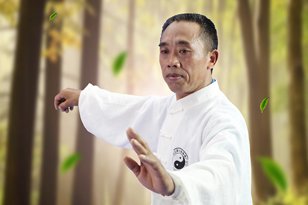 拳照