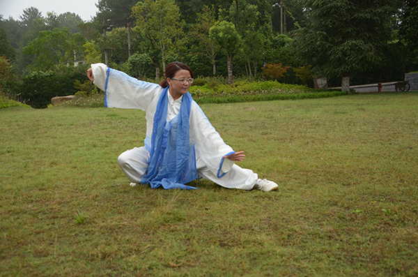 拳照