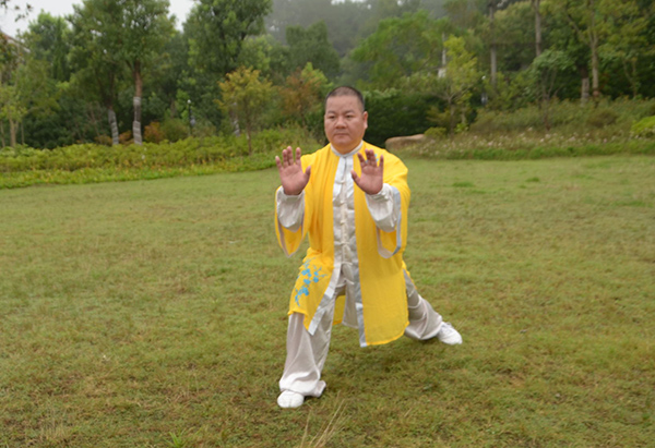 拳照