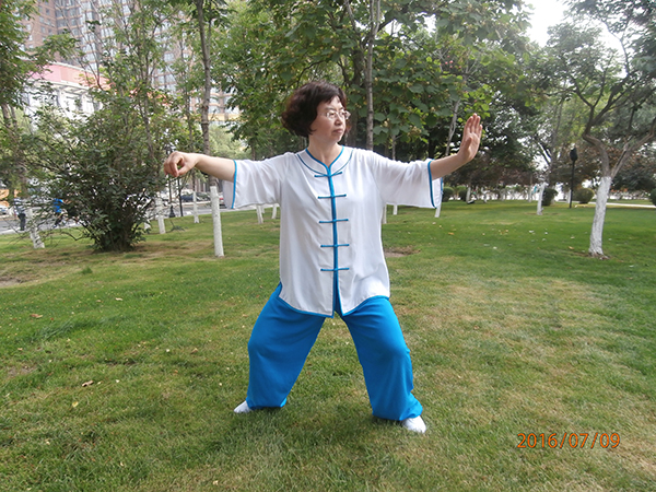 拳照