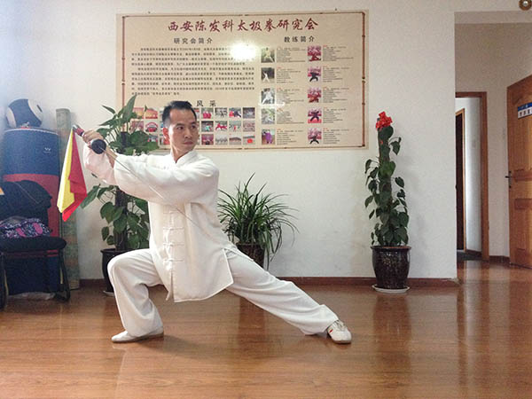 拳照