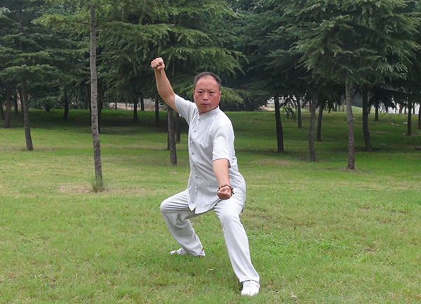 拳照