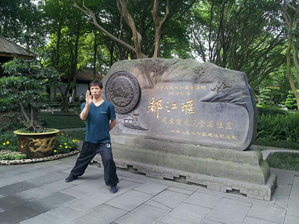 拳照