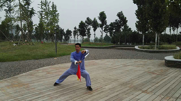 拳照