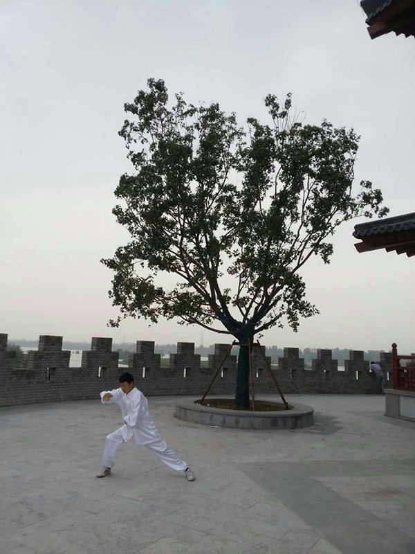 拳照
