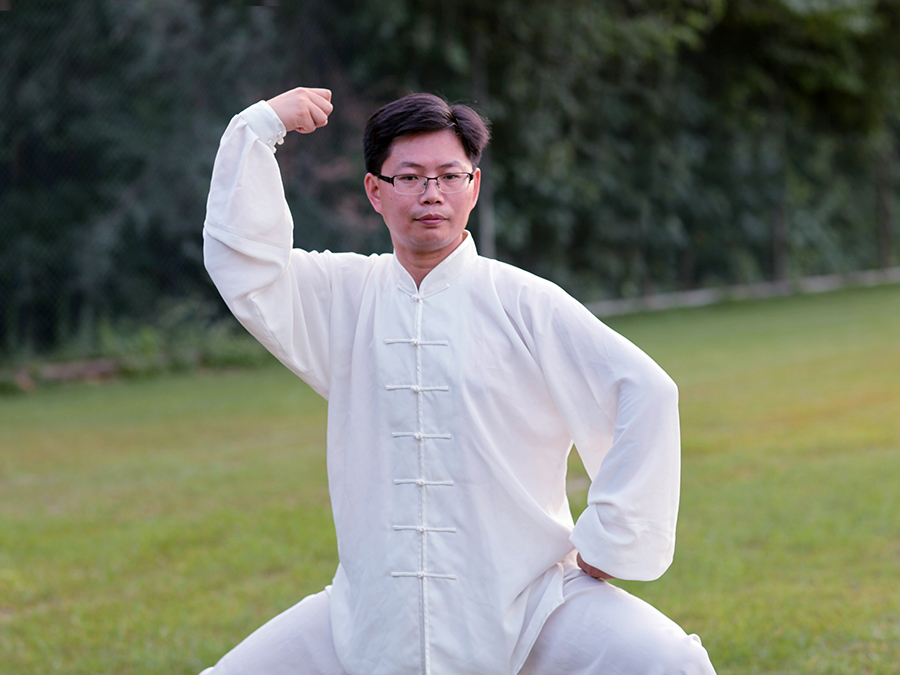 拳照