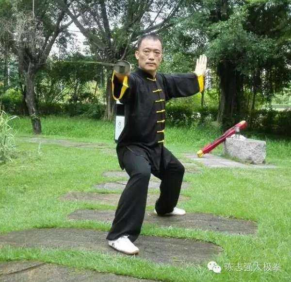 拳照