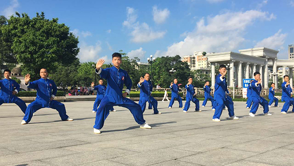 拳照
