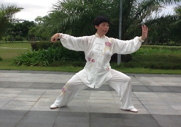 拳照
