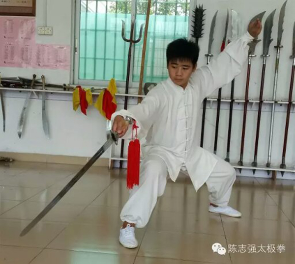 拳照