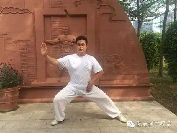 拳照