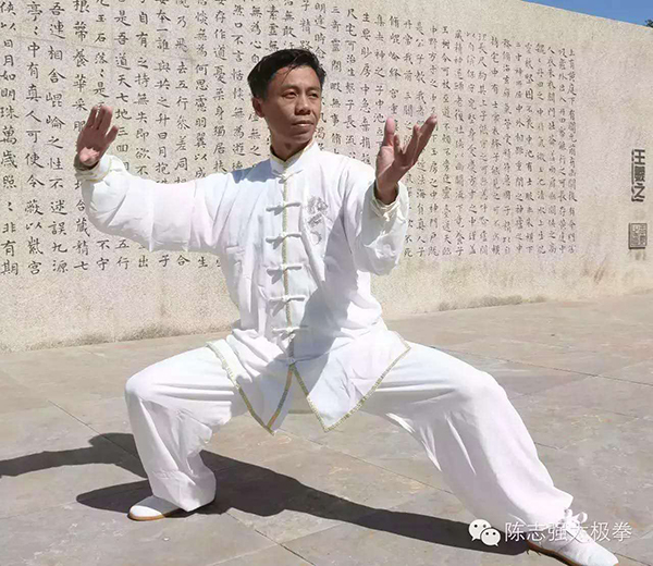 拳照