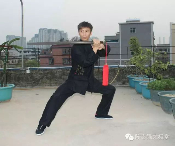 拳照