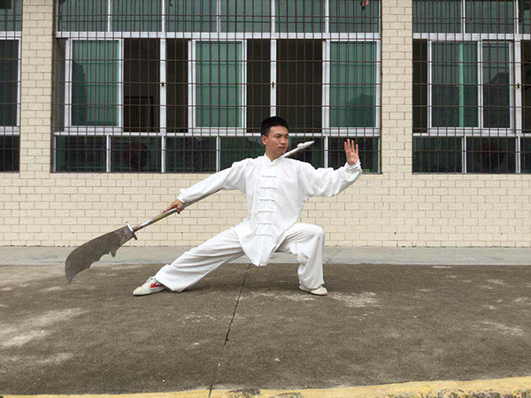 拳照