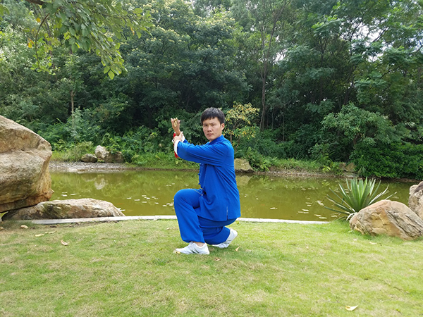 拳照