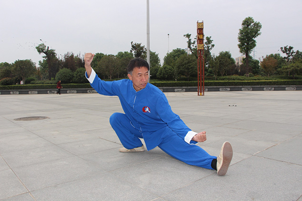 拳照