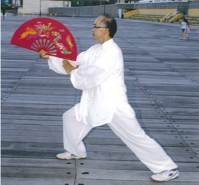 拳照