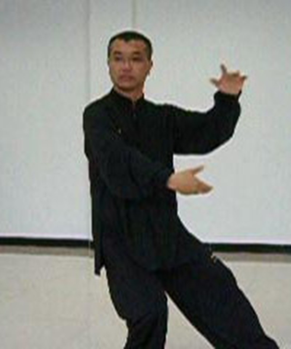 拳照