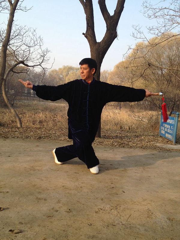 拳照