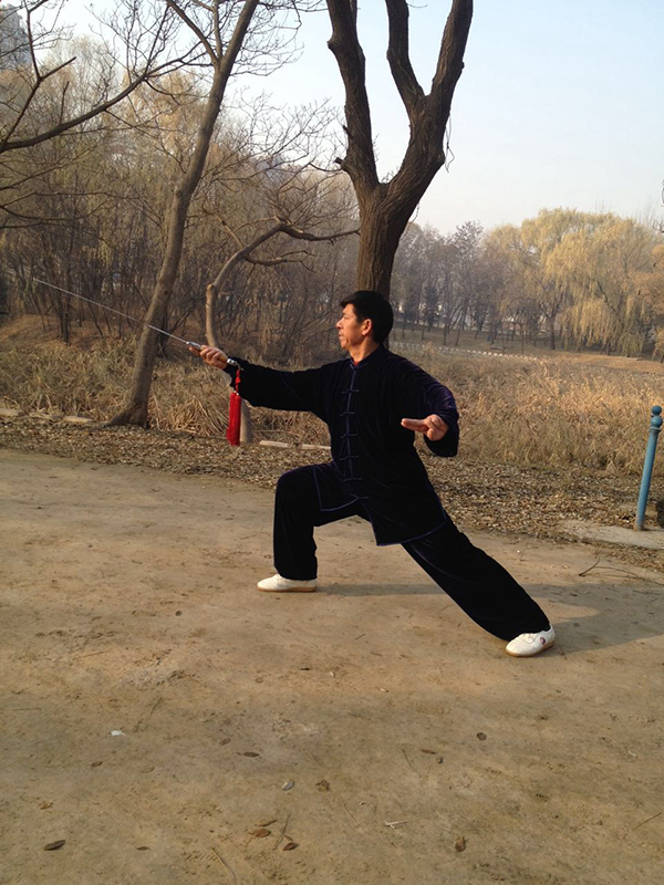 拳照