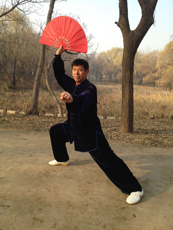 拳照