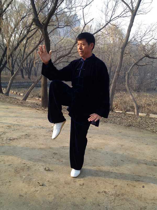 拳照
