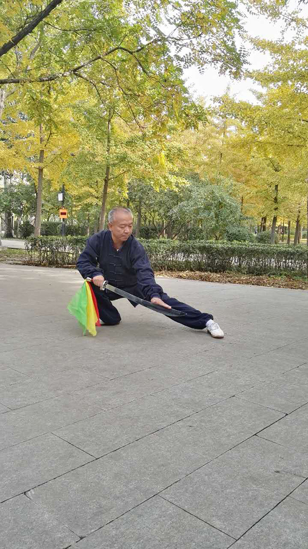 拳照