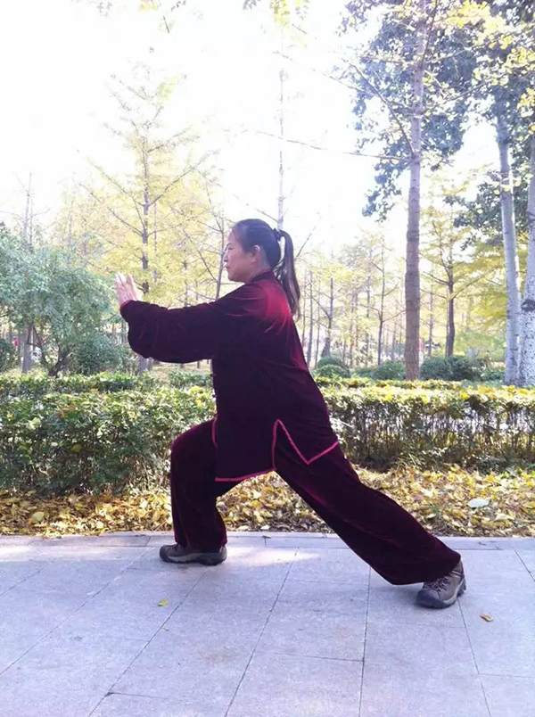 拳照