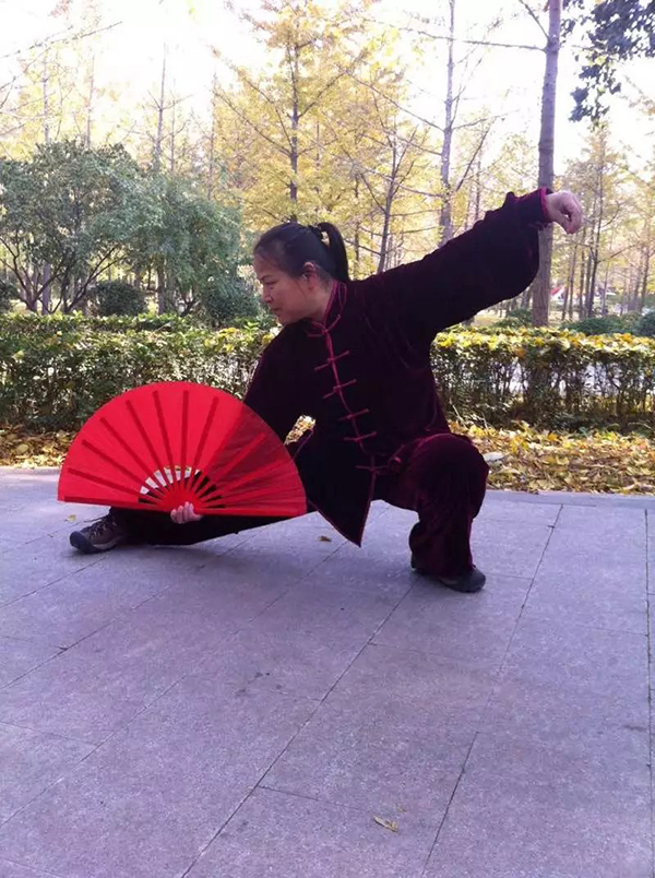 拳照