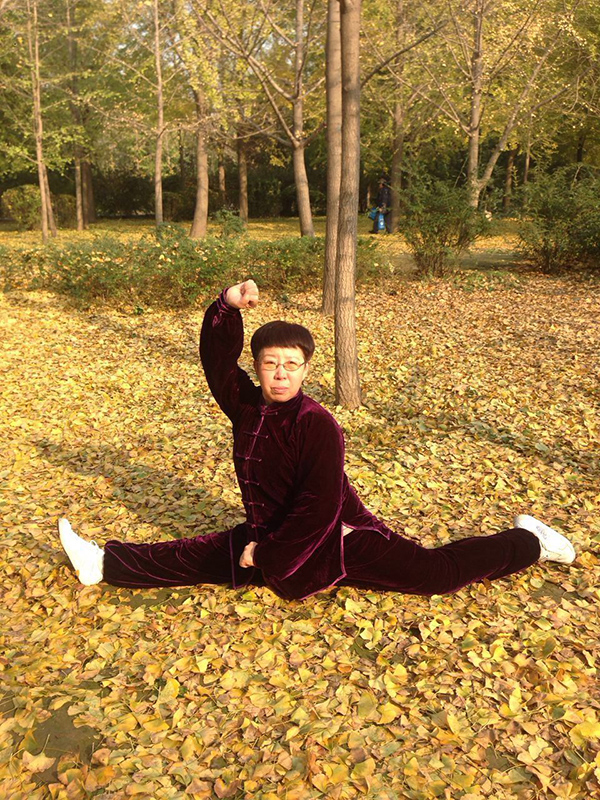 拳照